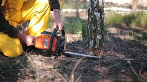 Soil Testing and Treatment in West Falls Church, VA