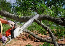 Best Lawn Maintenance Plans  in West Falls Church, VA